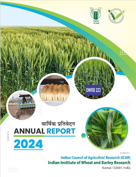 Annual Report 2024