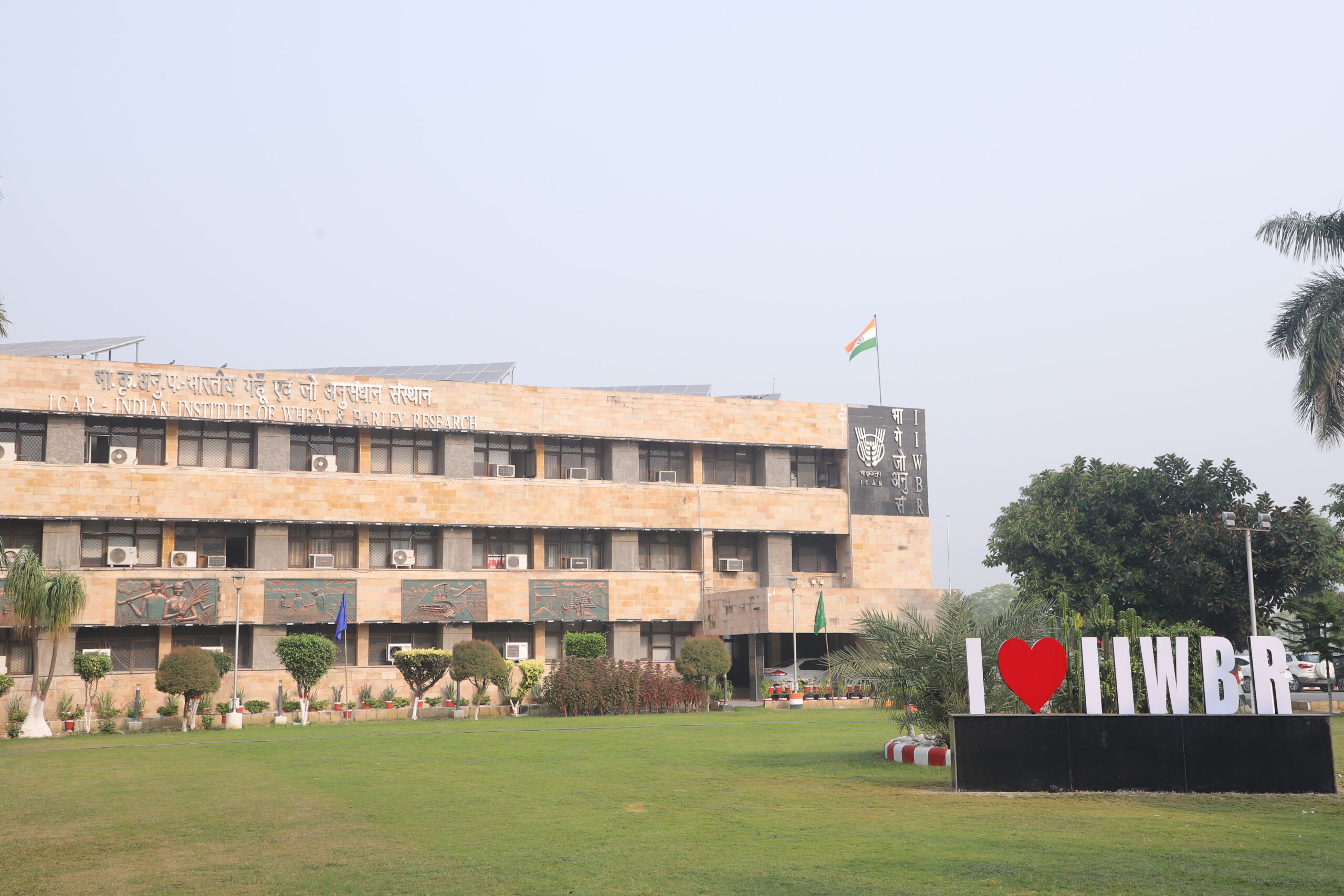 Welcome to ICAR-Indian Institute of Wheat & Barley Research