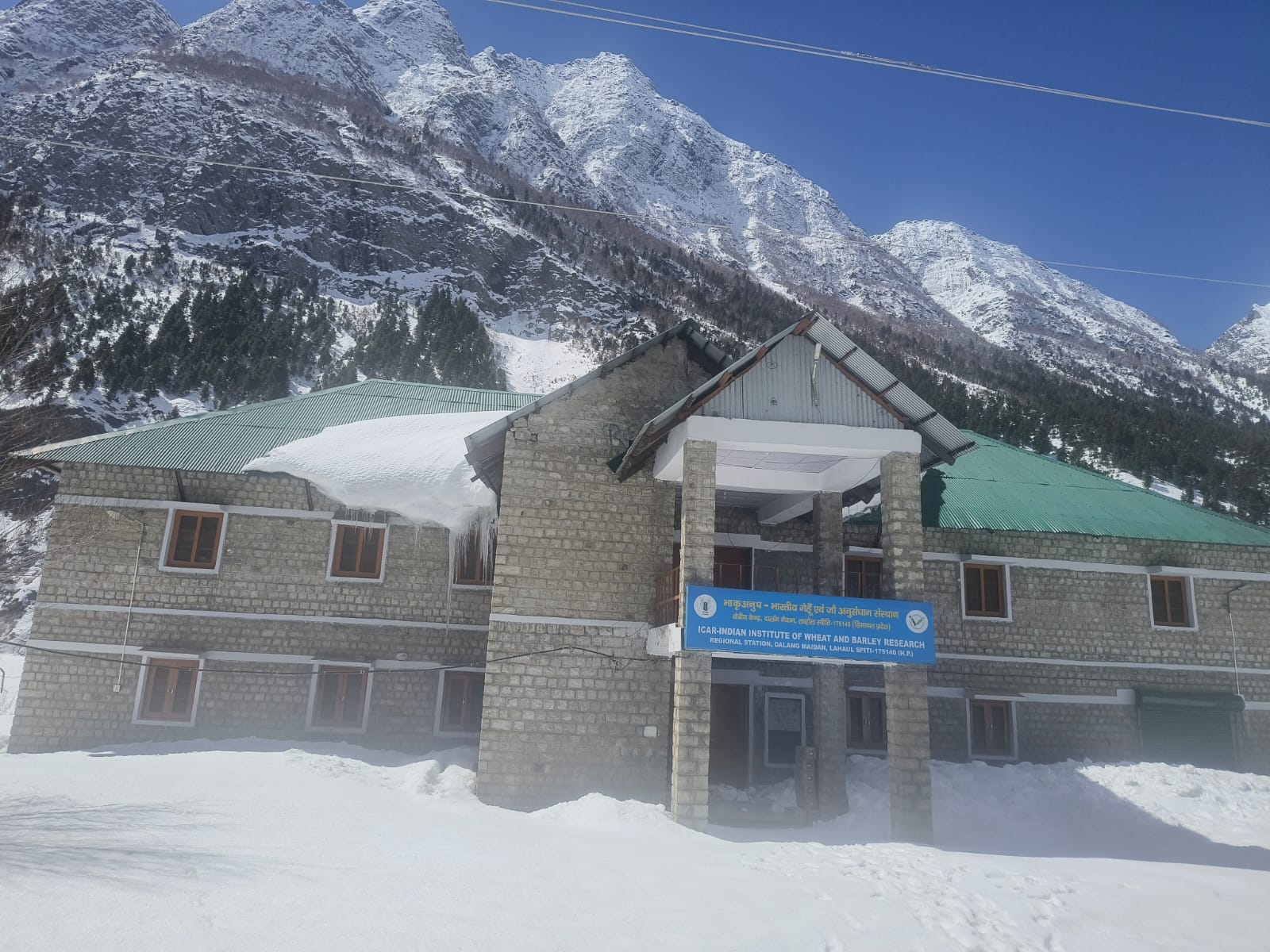 Dalang Maidan Image