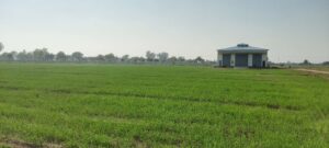 Hisar Farm Image