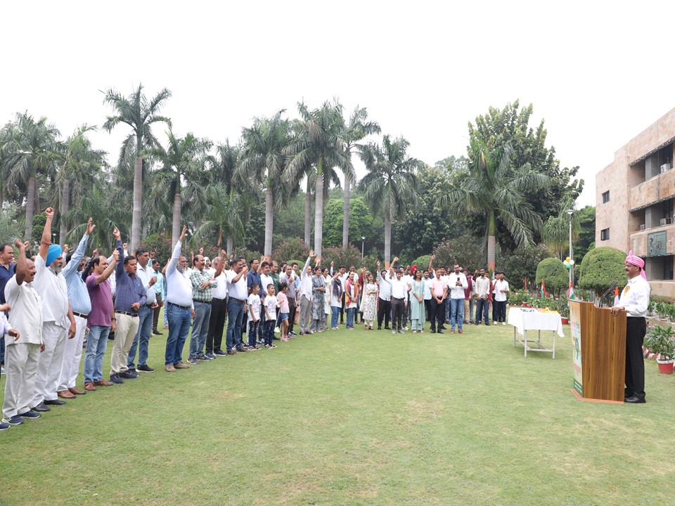 Independence Day celebration Image