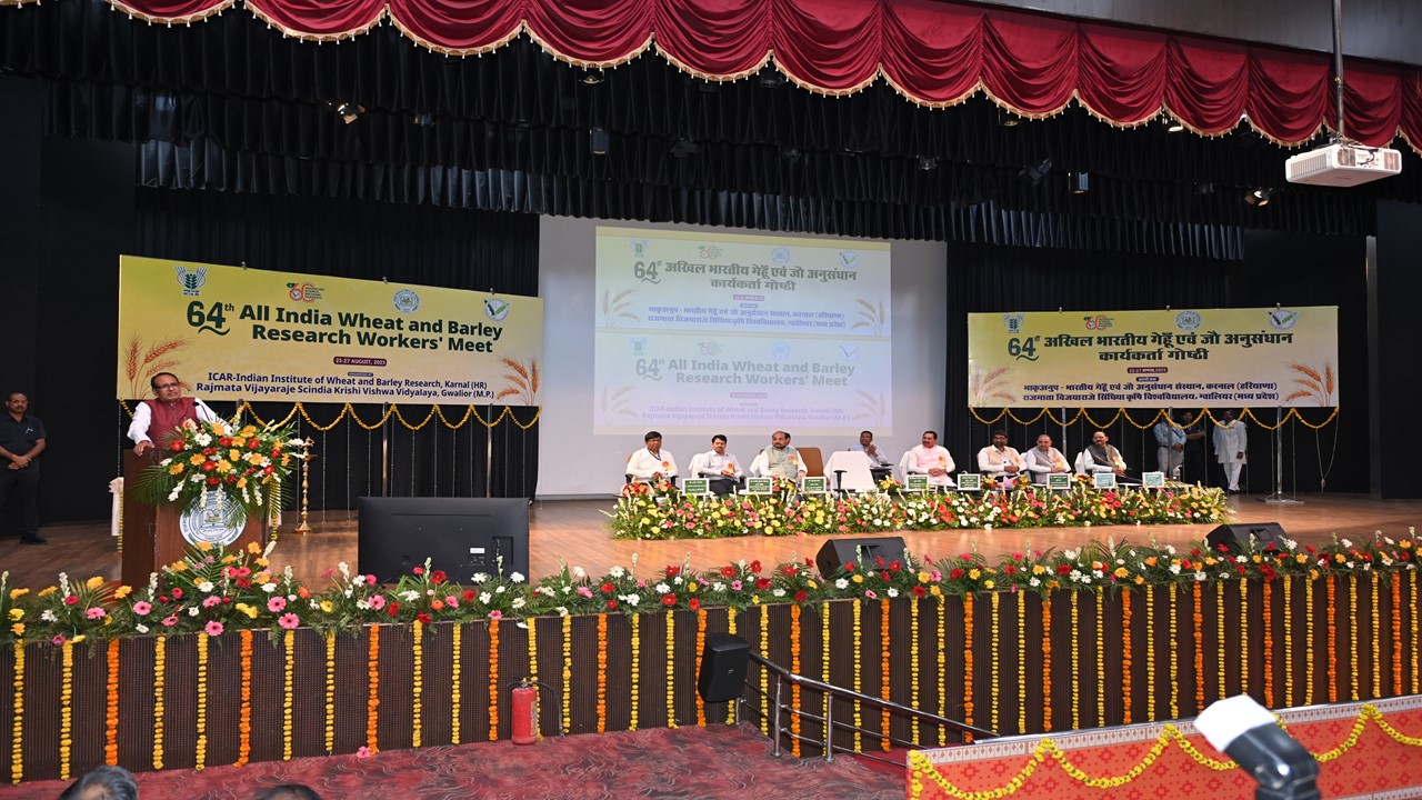 Wheat workshop 2025 Image