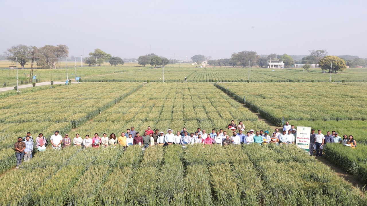 Wheat & Barley Field Day March 2026 Image