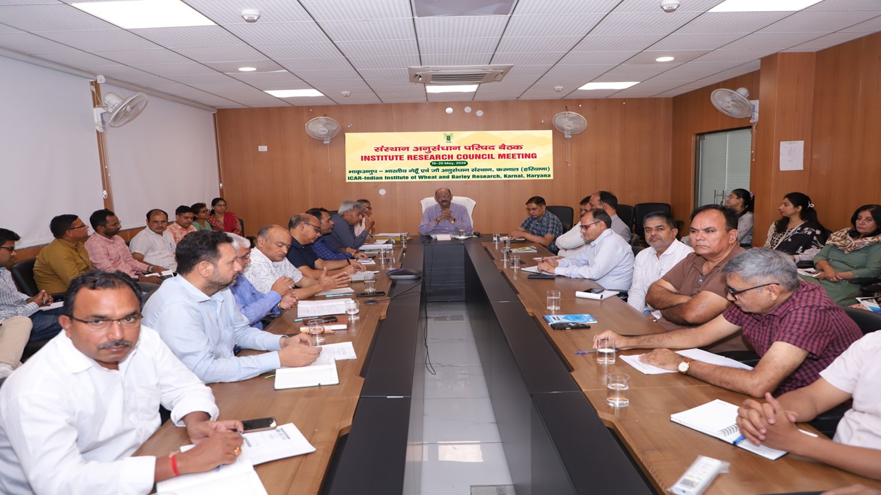 IRC 19-20 May,2026 Image