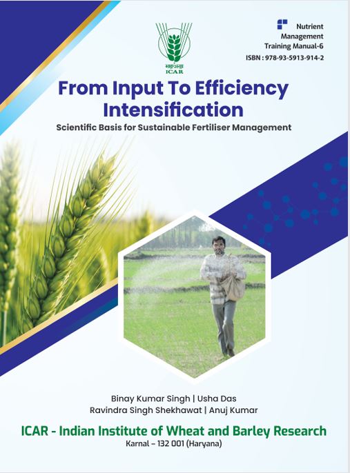 From Input to Efficiency Intensification